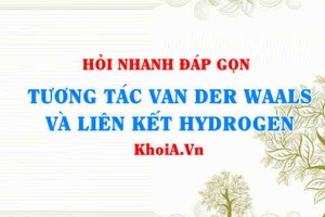 So sánh liên kết Hydrogen và tương tác Van De Waals, mạnh hay yếu hơn?